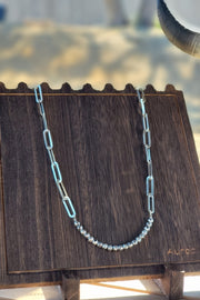Chain Gang Silver Necklace